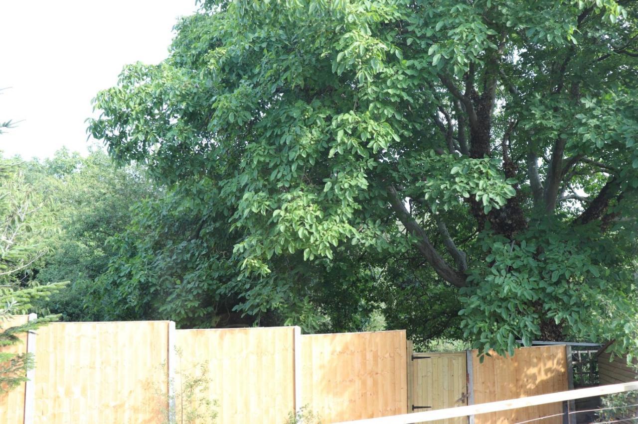 Holiday home Walnut Tree View