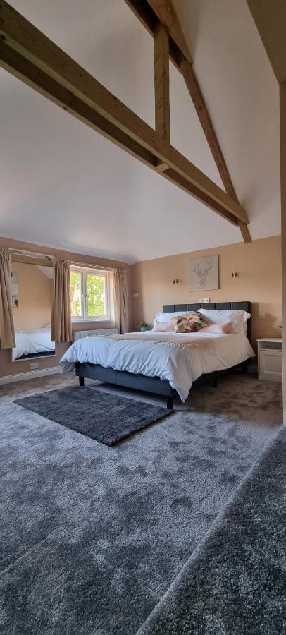 Holiday home Walnut Tree View